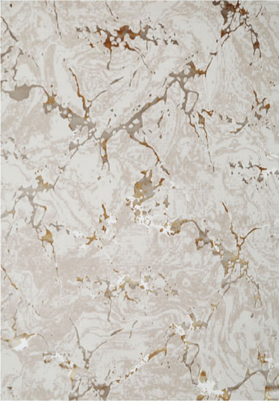 FARAZ NN68D beige marble area rug